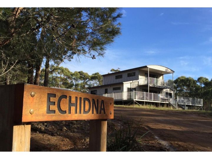 Echidna on Bruny Guest house, Bruny Island - imaginea 2