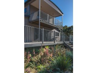 Echidna on Bruny Guest house, Bruny Island - 3