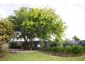 EdenValley Private Manicured Gardens with Fire Pit Guest house, Parkes - thumb 4