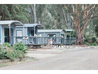 Eildon Pondage Holiday Park Accomodation, Eildon - 3