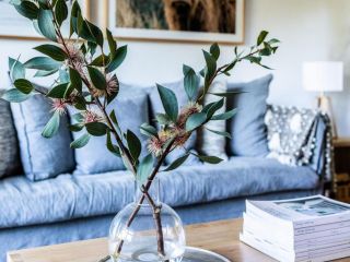 Equanimity - Beautiful character filled house! Guest house, Kangaroo Valley - 5