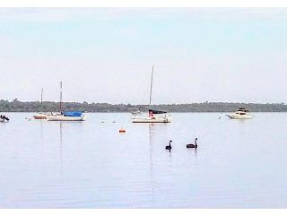 Beautiful, Peaceful Estuary Views, Five Star Quality Guest house, Western Australia - 3