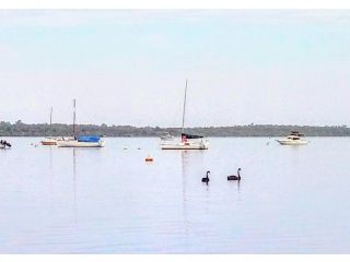 Beautiful, Peaceful Estuary Views, Five Star Quality Guest house, Western Australia - 3