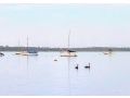 Beautiful, Peaceful Estuary Views, Five Star Quality Guest house, Western Australia - thumb 3