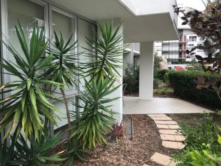 Euodia Unit 1102 Apartment, Nelly Bay - 2