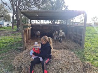 Farm On The Orchards Guest house, Victoria - 3