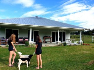 Fig Tree Farm B&B Highvale-Farmstay near Brisbane! Farm stay, Queensland - 2