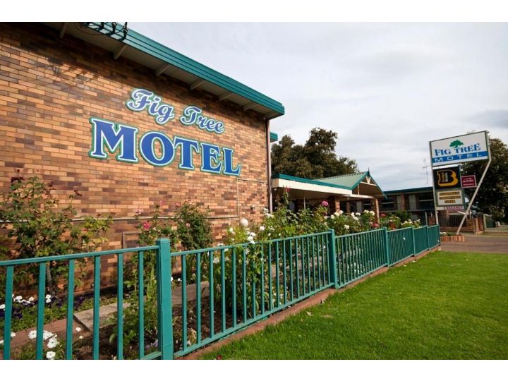 Fig Tree Motel Hotel, Narrandera - imaginea 10