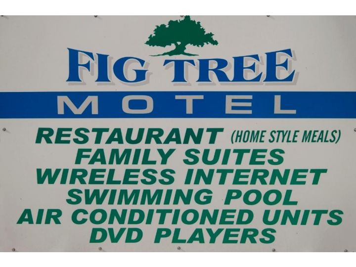 Fig Tree Motel Hotel, Narrandera - imaginea 12