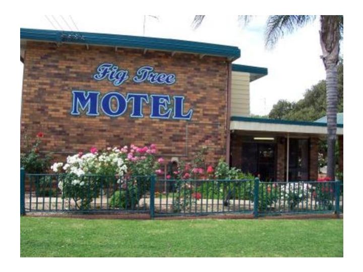 Fig Tree Motel Hotel, Narrandera - imaginea 7