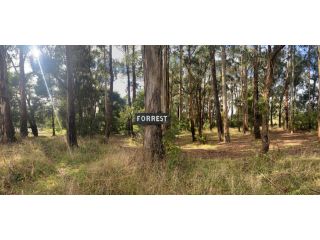 Forrest Holiday Park Campsite, Victoria - 2