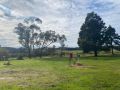 Forrest Holiday Park Campsite, Victoria - thumb 16
