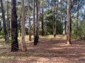 Forrest Holiday Park Campsite, Victoria - thumb 19