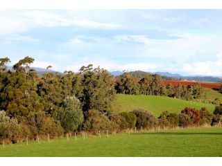 Forth View Farm Stay Cottage Apartment, Australia - 1