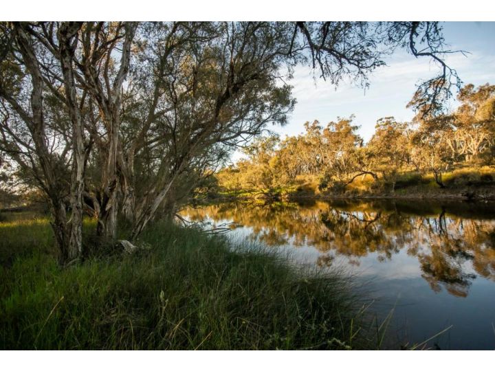 Frankland River Retreat Guest house, Western Australia - imaginea 9