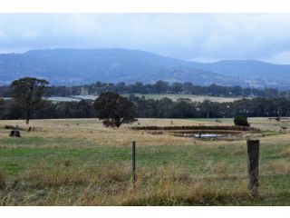Friends in Harcourt North Bed and breakfast, Victoria - 4