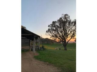 Gaddleen Grove Cottages Farm stay, Wodonga - 3