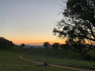 Gaddleen Grove Cottages Farm stay, Wodonga - 1