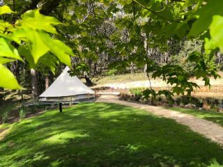 Garden Beds Glamping Campsite, Victoria - 1