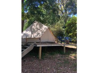 Garden Beds Glamping Campsite, Victoria - 5