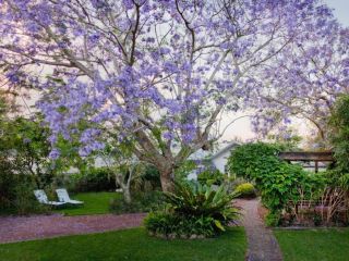 Garden Cottage Guest house, Tea Gardens - 3