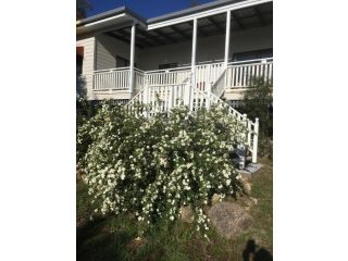 Glen Aplin Gardens B&B and Restaurant Cellar Door Guest house, Queensland - 3