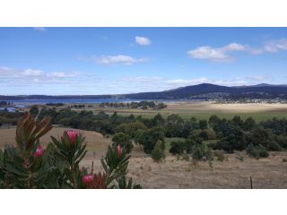 George River Park (House, 100 Acres, Animals, Views) Guest house, St Helens - 4