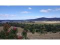 George River Park (House, 100 Acres, Animals, Views) Guest house, St Helens - thumb 4