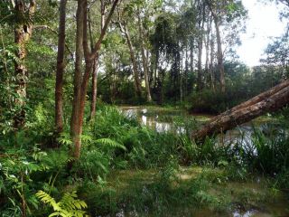 Glass House Mountains Ecolodge Hotel, Queensland - 1