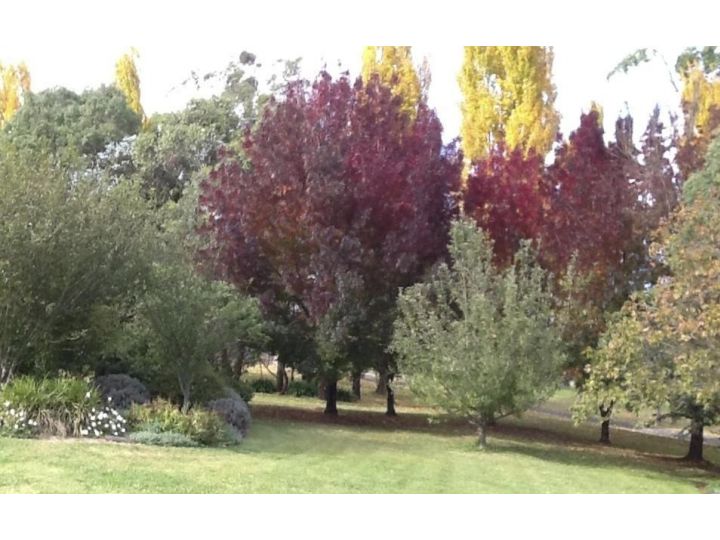 Glen Waverly Farmstay Farm stay, Glen Innes - imaginea 16