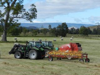 Glenfield Cottage Farm stay, Victoria - 3