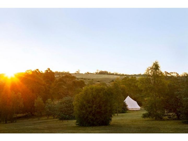 Goldfield Glamping Campsite, Victoria - imaginea 12