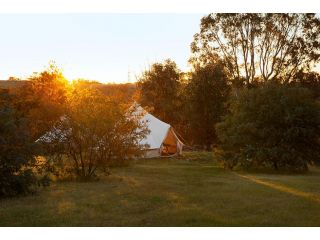 Goldfield Glamping Campsite, Victoria - 4