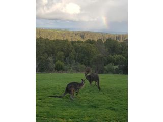 Gone Surfin Guest house, Victoria - 4