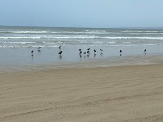 Goolwa Wine Time on Rosemary - 3-4 bedroom shack Guest house, Goolwa South - 1