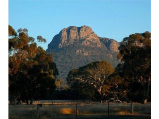 Grampians View B&B Bed and breakfast, Dunkeld - 5