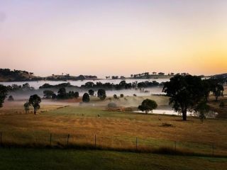 Grattai Grove Mudgee Guest house, New South Wales - 2