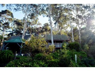 Great Ocean Road Cottages Hotel, Lorne - 3