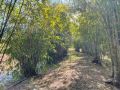 GSM Bamboo Farm RV and Caravan site Campsite, Queensland - thumb 7