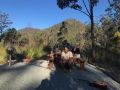 Gulkula2 Wildlife Retreat Guest house, Tasmania - thumb 9