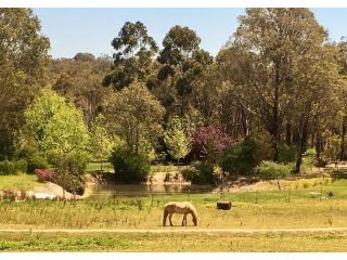 Gumleaf Cottage Farmstay Farm stay, Western Australia - 5