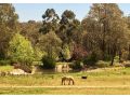 Gumleaf Cottage Farmstay Farm stay, Western Australia - thumb 5