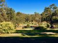 Gumleaf Cottage Farmstay Farm stay, Western Australia - thumb 6