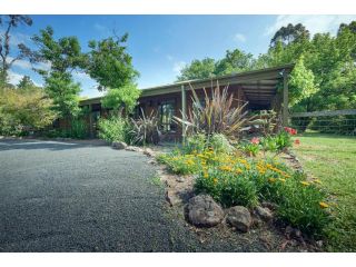 Gumtree Glen Guest house, Kangaroo Valley - 3