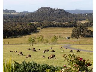 Hanging Rock Views Bed and breakfast, Woodend - 2