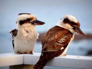 HARBOUR DECK Boat Harbour and Gerringong 4pm check out Sundays Guest house, Gerringong - 4