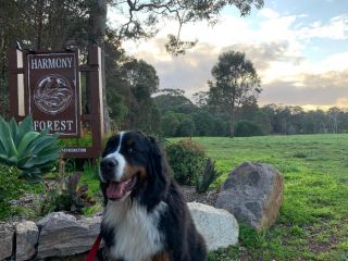 Harmony Forest Cottages & Lake side Lodge Hotel, Margaret River Town - 1