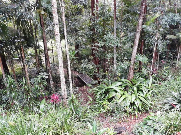 Tranquil rainforest homestay by river, free wifi Guest house, Queensland - imaginea 11