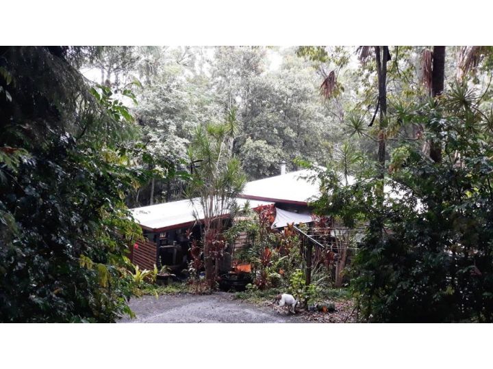 Tranquil rainforest homestay by river, free wifi Guest house, Queensland - imaginea 9