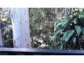 Tranquil rainforest homestay by river, free wifi Guest house, Queensland - thumb 15